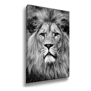Quadro Canvas Tamanho Personalizado Canvas     